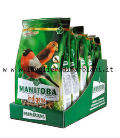 MANGIME INDIGENA (800g) cod. A01828