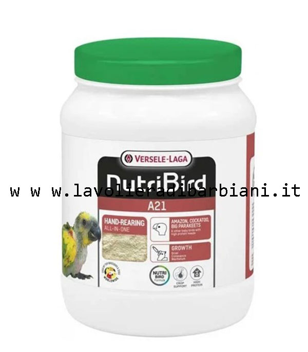 PAPPA DA IMBECCO A21 (800 g) cod. PA2180