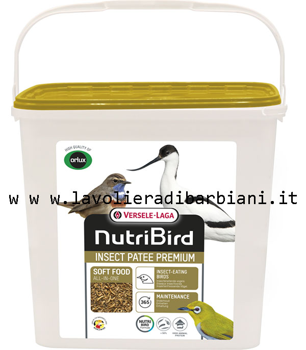 INSECT PATEE PREMIUM (2 kg) cod. IP2V