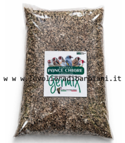 GERMIX PANCE CHIARE (5 kg) cod. 60140
