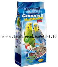 MISTO COCORITE CON BISCOTTO (1 kg) cod. 60190