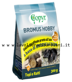 BROMUS HOBBY BLOCCO (300 g) cod. 60123