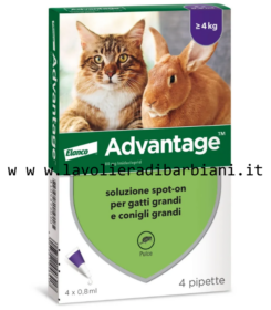 ADVANTIX SPOT-ON PER GATTI SOPRA 4 kg (4 PIPETTE) cod. 60264