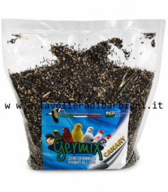 GERMIX CANARY (1 kg) cod. 60318