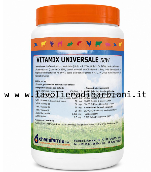 VITAMIX UNIVERSALE (1 kg) cod. 60372
