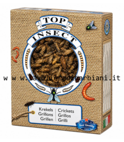 GRILLI (400 g) cod. 60386