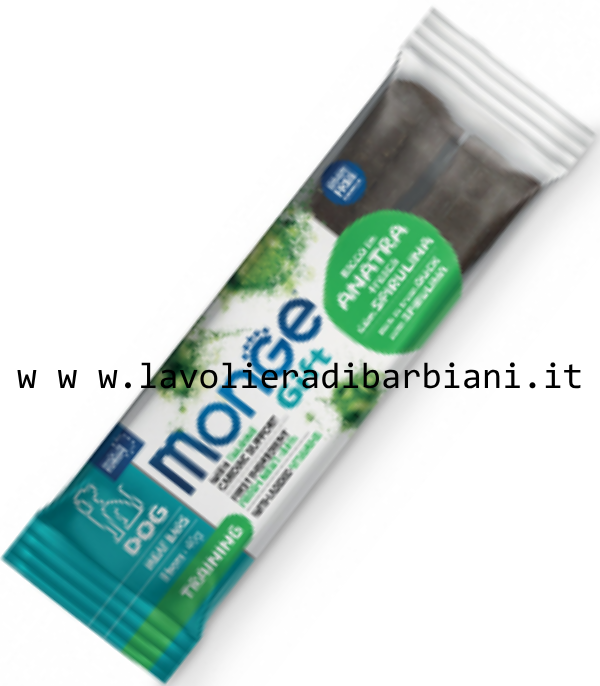 MONGE GIFT TRAINING ANATRA (40 g) cod. 60476